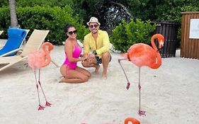 Punta Cana Bavaro Suites Pool Beach Ducassi-Sol Caribe